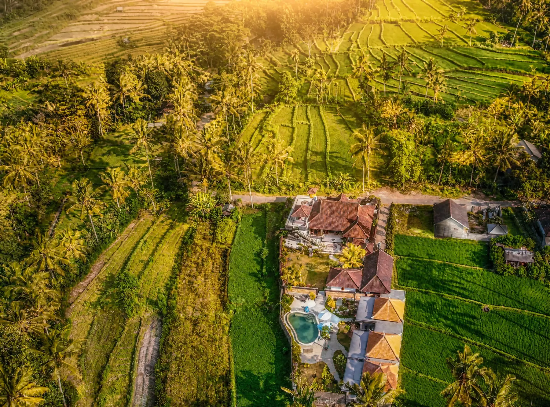 Aerial view of Dana Bali Hideaway among green rice fields